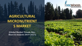 Global Agricultural Micronutrients Market Trends, Size, Analysis 2019-2027