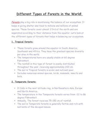 Different Types of Forests in the World!