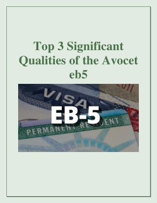 Top 3 Significant Qualities of the Avocet eb5