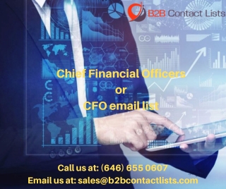 Chief Financial Officer Email List in USA