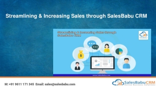 Streamlining & Increasing Sales through SalesBabu CRM