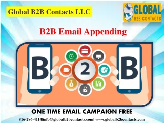 B2B Email Appending