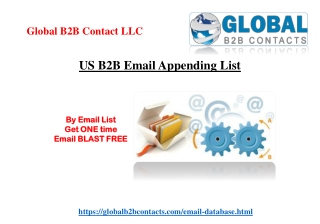 US B2B Email Appending List