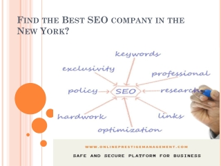 New York's Best SEO Company |100% Organic SEO | Traffic Drive