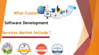 What Custom software development services market include ?