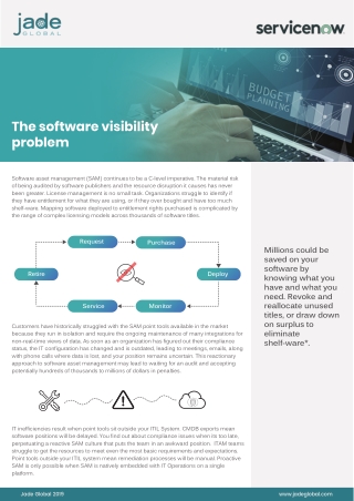 The software visibility problem