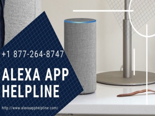 Alexa Troubleshooting at Alexa App Helpline Reach us Now