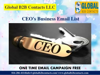 CEO's Business Email List