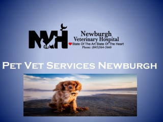 Pet Vet Services Newburgh