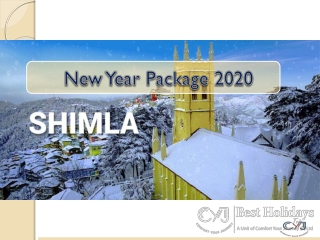 New Year Celebration in Shimla | New Year Package