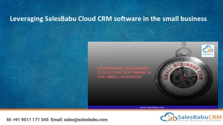 Leveraging SalesBabu Cloud CRM Software in the Small Business