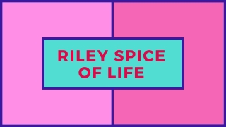 Salsa Seasoning Mix- Riley Spice Of Life