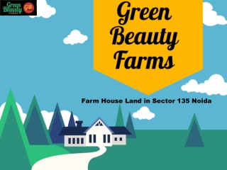 Farm House Land in Sector 135 Noida