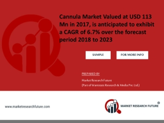 Cannula Market size by Industry Insight Analysis, Segments, Top Key Players, Drivers and Trends to 2023