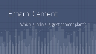 Which is India's largest cement plant