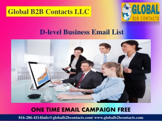 D-level Business Email List