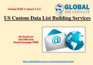 US Custom Data List Building Services