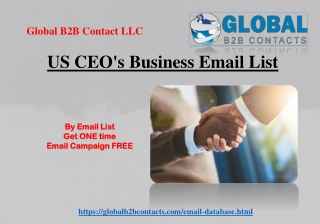 US CEO's Business Email List