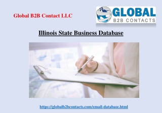 Illinois State Business Database