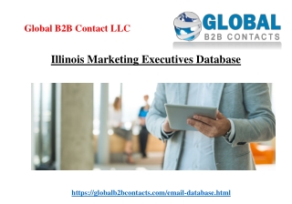 Illinois Marketing Executives Database