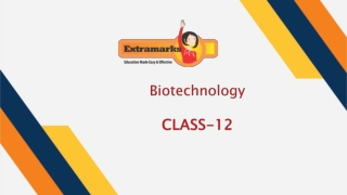 Study Biotechnology for Class 12