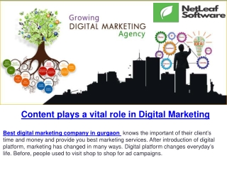 Content plays a vital role in Digital Marketing