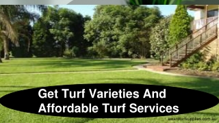 Get Turf Varieties And Affordable Turf Services