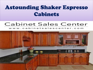 Astounding Shaker Espresso cabinets
