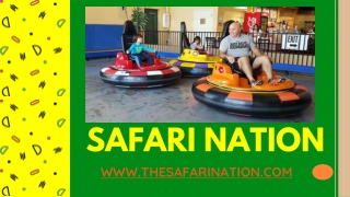 Bumper Cars, Safari Nation Indoor Playground | Greensboro– The Safari Nation