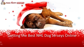 Getting the Best NHL Dog Jerseys Online