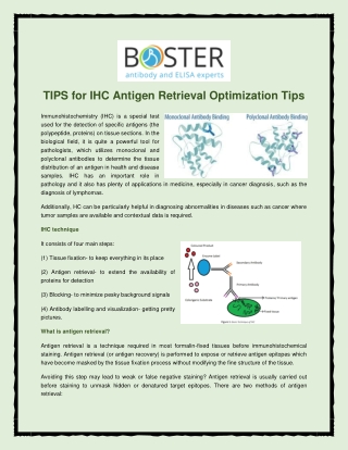 TIPS for IHC Antigen Retrieval Optimization Tips