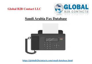 Saudi Arabia Fax Database