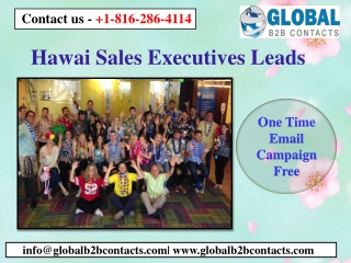 Hawai Sales Executives Leads