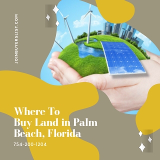 Where To Buy Land in Palm Beach, Florida –JoinBuyersList.com