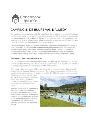 Camping Spa d'Or
