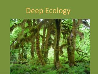 Deep Ecology