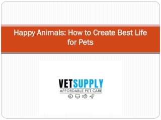 Happy Animals: How to Create Best Life for Pets