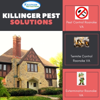 Killinger Pest Solution