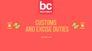 Meet The Best Advisors for Custom and Excise Duties