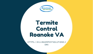 Termite Control Roanoke VA