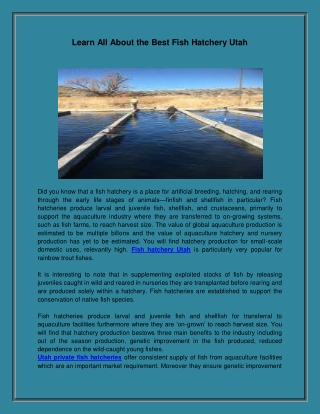 Learn All About the Best Fish Hatchery Utah
