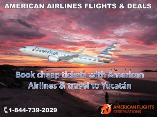 Book cheap tickets with American Airlines & travel to Yucatan