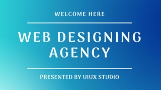 Web Designing Agency