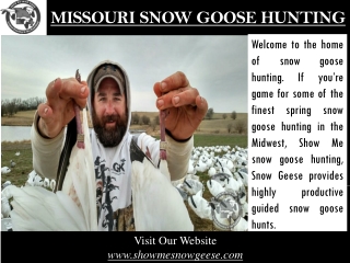 Missouri Snow Goose Hunting