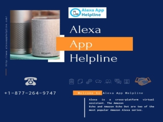 Alexa Slow to Respond or Need Alexa Setup Help Call Now