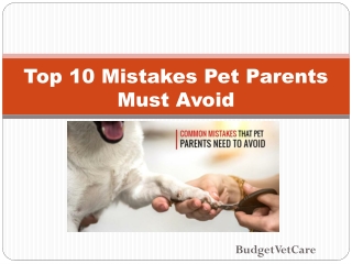 Top 10 Mistakes Pet Parents Must Avoid | BudgetVetCare