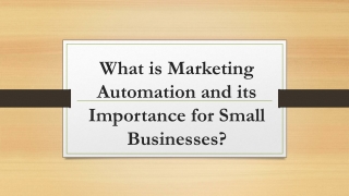 What is Marketing Automation and its Importance for Small Businesses?