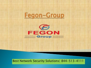 Fegon-Group | Network Security Solutions Provider | 8445134111