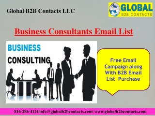 Business Consultants Email List