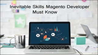 Skills That Every Magento Developer Should Possess